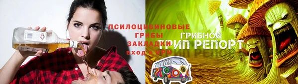 PSILOCYBIN Алексин