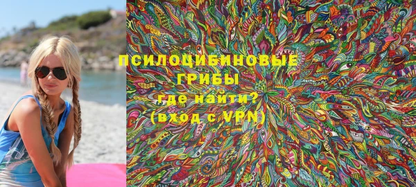 PSILOCYBIN Алексин